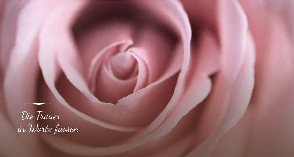 Bestattungsinstitut Tobias Wenzel GmbH - Marienberg - Olbernhau - Thum - Pockau