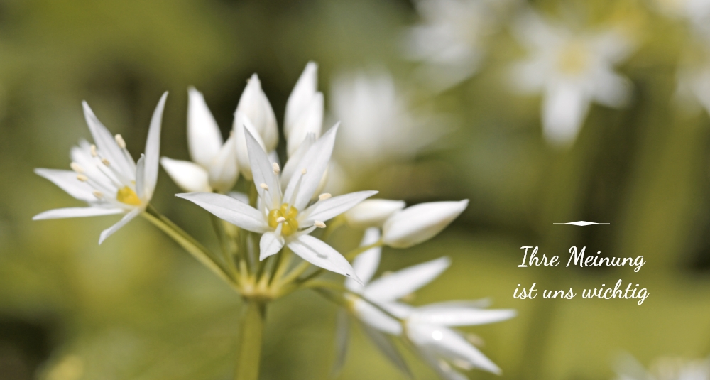 Bestattungsinstitut Tobias Wenzel GmbH - Marienberg - Olbernhau - Thum - Pockau